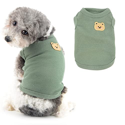 Ranphy Hund-T-Shirt für kleine Hunde Mädchen Jungen Bär Welpe Ärmellose Kleidung Waffel Kleine Katze Kleidung Welpen-Sweatshirt Sommer Frühling Hund Tank Weste, Grün, L von Ranphy