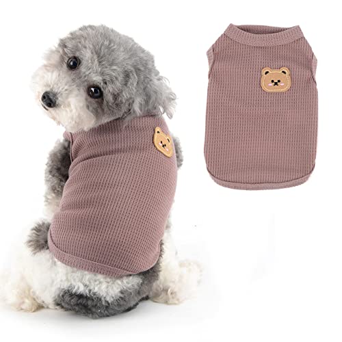 Ranphy Hund-T-Shirt für kleine Hunde Mädchen Jungen Bär Welpe Ärmellose Kleidung Waffel Kleine Katze Kleidung Welpen-Sweatshirt Sommer Frühling Hund Tank Weste, Lila, L von Ranphy