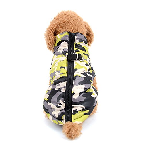 Ranphy Kleine Hunde Camo Jacke mit D-Ring Haustier Winter Baumwolle Gepolstert Mantel Wasserabweisend Welpen Weste Geschirr Chihuahua Kleidung mit Geschirrloch Gelb Größe L von Ranphy