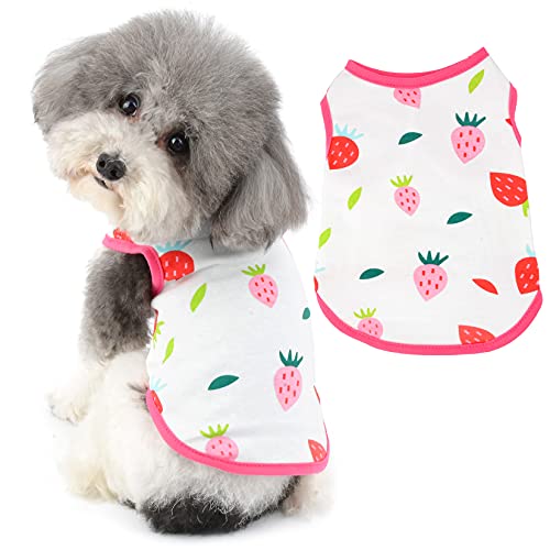 Ranphy Kleine Hundebekleidung für Jungen und Mädchen, Haustier-Shirt, Welpen, Katzen, Baumwolle, Weste, Doggy, Tank-Top, Doggie, atmungsaktiver Pullover, ärmelloses T-Shirt für Kätzchen von Ranphy