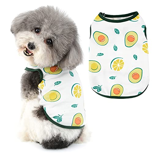 Ranphy Kleine Hundebekleidung für Jungen und Mädchen, Haustier-Shirt, Welpen, Katzen, Baumwolle, Weste, Doggy, Tank-Top, Doggie, atmungsaktiver Pullover, ärmelloses T-Shirt für Kätzchen von Ranphy