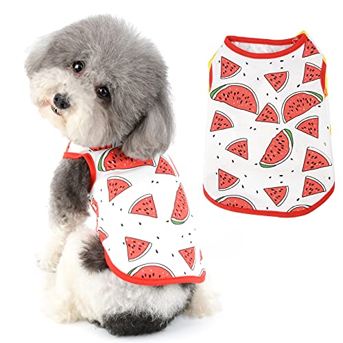 Ranphy Kleine Hundebekleidung für Jungen und Mädchen, Haustier-Shirt, Welpen, Katzen, Baumwolle, Weste, Doggy, Tank-Top, Doggie, atmungsaktiver Pullover, ärmelloses T-Shirt für Kätzchen von Ranphy