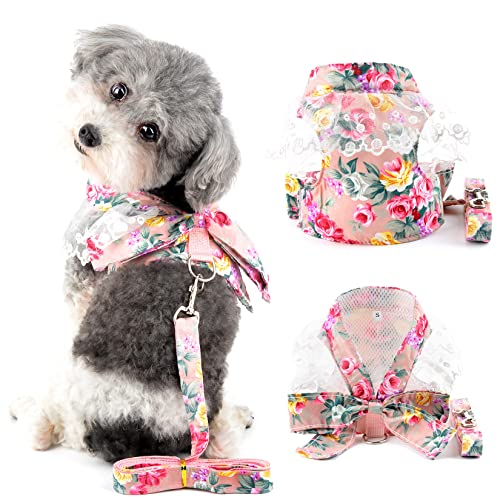 Ranphy Kleines Hundegeschirr mit Leine für kleine Hunde Mädchen No Pull Chihuahua Kleid mit Schleife Spitze Kätzchen Weste Harness Floral Welpen Kleidung mit niedlichem Bogen zum Gehen, Rosa, XL von Ranphy