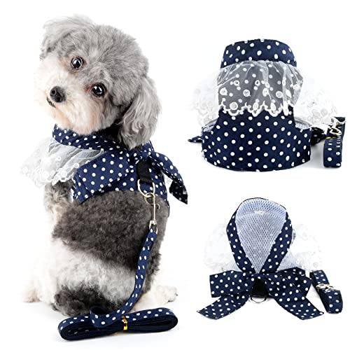 Ranphy Kleines Hundegeschirr mit Leine für kleine Hunde Mädchen No Pull Chihuahua Kleid mit Schleife Spitze Kätzchen Weste Harness Polka Dot Welpen Kleidung mit niedlichem Bogen zum Gehen, Blau, XXL von Ranphy