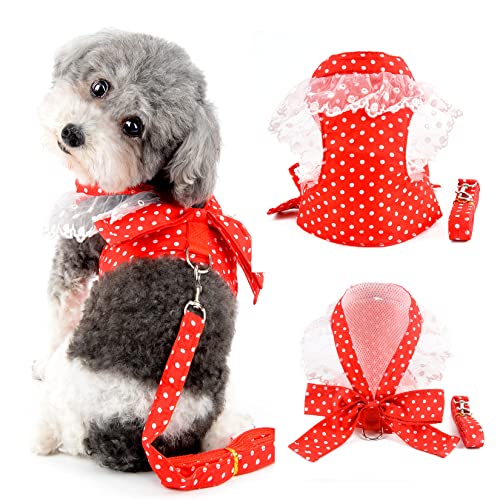 Ranphy Kleines Hundegeschirr mit Leine für kleine Hunde Mädchen No Pull Chihuahua Kleid mit Schleife Spitze Kätzchen Weste Harness Polka Dot Welpen Kleidung mit niedlichem Bogen zum Gehen, Rot, XXL von Ranphy