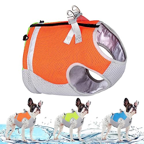 Ranphy Kühlweste für Hunde Geschirr Verdunstungskühlermantel Kühljacke für Hunde für Sommer Outdoor Wandern, Spazierengehen und Camping, Orange, M von Ranphy