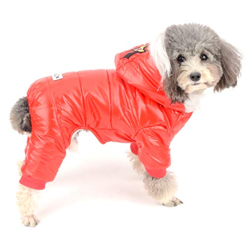 Ranphy Wasserdichter Hund Schneeanzug Jumpsuit Fleece Gefüttert Wintermantel mit Kapuze Welpen Kleidung Outfit Gepolsterte Hoodie Jacke Junge Mädchen Parka für kleine Hunde Katze Rot M von Ranphy