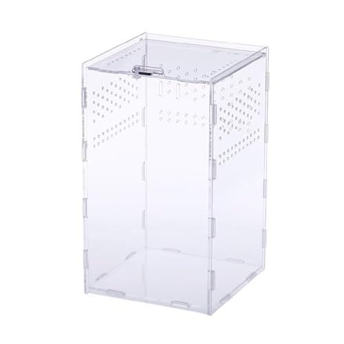 Futterbox Transparent Behälter Acryl Terrarium Für Spinnen Klein Für Box Einfach Zu Asse Acryl Habitat von Ranuw