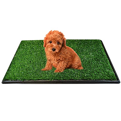 Ranuw Pet Grass Tragbare Hundetraining-Badezimmerunterlage für kleine Hunde, Verhaltensverhalten, Haustierreinigungszubehör, Haustier-Toilettenmatte von Ranuw
