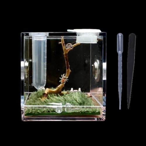 Springender Lebensraum Acryl Futterkäfig für Terrarium mit Baumbestand für kleine Reptilien klar mit 360 Grad Lebensräumen und Terrarien Kit von Ranuw