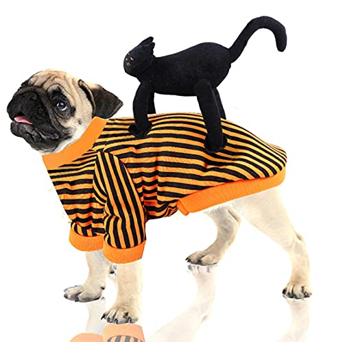 Ranvi Hundekostüme Halloween Lustiger Hund Anzug mit schwarzer Katze Niedliche Welpenkleidung für Halloween Weihnachtsfeier Kleine Hunde und Katzen(L) von Ranvi