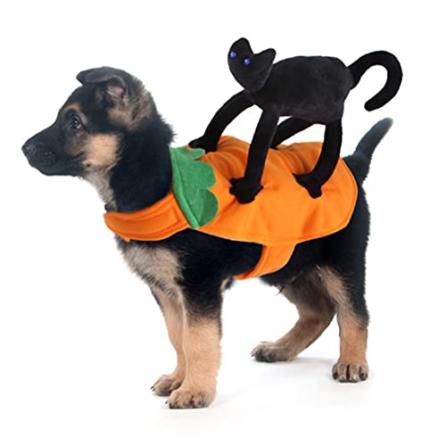 Ranvi Hundekostüme Halloween Lustiger Hund Anzug mit schwarzer Katze Niedliche Welpenkleidung für Weihnachtsfeier Kleine Hunde und Katzen(M) von Ranvi