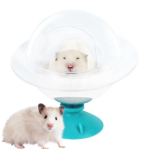 Raxove Hamster-Badewanne – Duschraum Badeschüssel Hamster Chinchilla Katzentoilette | Graben Sandbehälter Transparent Kleintier-Lebensraum für Rennmäuse Syrischer Hamster von Raxove