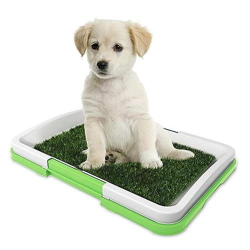 Raxove Hundetöpfchen-Grasunterlage - Indoor-Rasen-Hundetöpfchen, Grasunterlage für Hunde | Spritzwassergeschütztes, dreischichtiges, rutschfestes, wiederverwendbares und waschbares Grastöpfchen von Raxove