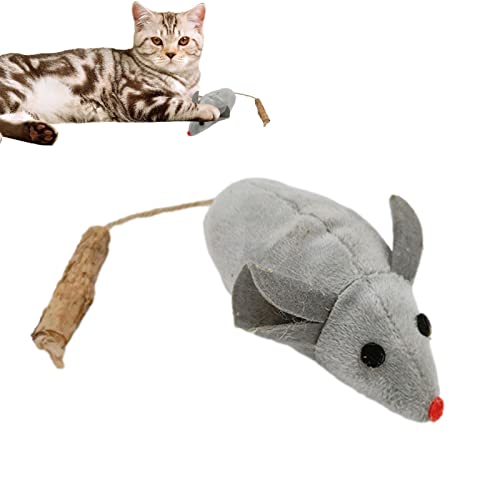 Raxove Katzen Katzenminze Spielzeug – Katzenminze gefüllt Cartoon Mäuse Katze Beißspielzeug mit langem Schwanz – Kätzchen Trainieren Jagd Mäuse Spielzeug Home Plaything für Haustiere Katzen von Raxove