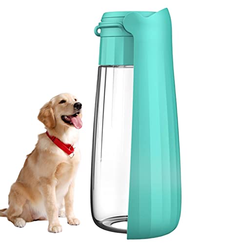 Raxove Reise-Wasserflasche für Hunde, 550 ml, tragbarer Wasserspender für Hunde, auslaufsichere Hundewasserflaschen für Spaziergänge, Reisen oder Outdoor-Aktivitäten, perfekte Größe für alle Rassen von Raxove