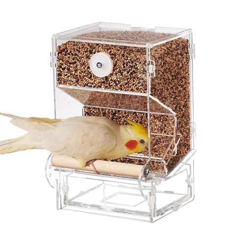 Vogelfutterstation – kleiner transparenter Vogelfutterspender aus Acryl, automatisch, transparent, mittelgroß, auslaufsicher, transparent, Haustierbedarf von Raxove