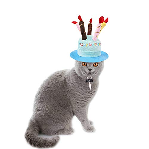 RayMinsin Haustier Geburtstag Kuchen Hut Haustier Kappe Haustier Kappe mit Kerzen Design für Hunde und Katzen Kostüm Zubehör (Blau) von RayMinsino