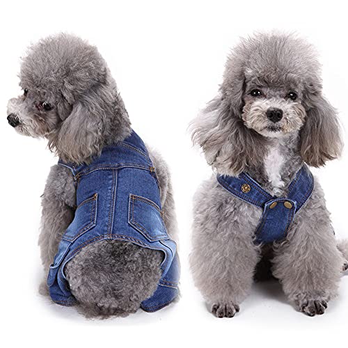 RayMinsino Denim-Overall Hundeanzug, Anzug für Hunde, geeignet für kleine und mittelgroße Haustiere, modischer Einteiler mit Vierbeinern. von RayMinsino