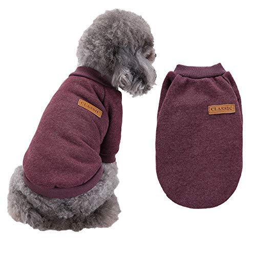 RayMinsino Haustier-Hundekleidung, warmer Pullover, niedlicher Strick, einfarbig, Hundepullover für kleine Hunde, Mädchen und Jungen, Hundepullover Mäntel, warme Kleidung für Welpen von RayMinsino