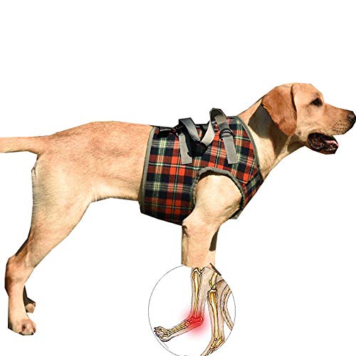 RayMinsino Hunde-Genesungsschlinge Heben Hund Unterstützung Geschirr für alte behinderte Gelenkverletzungen Arthritis Lähmung Hunde Spaziergang von RayMinsino