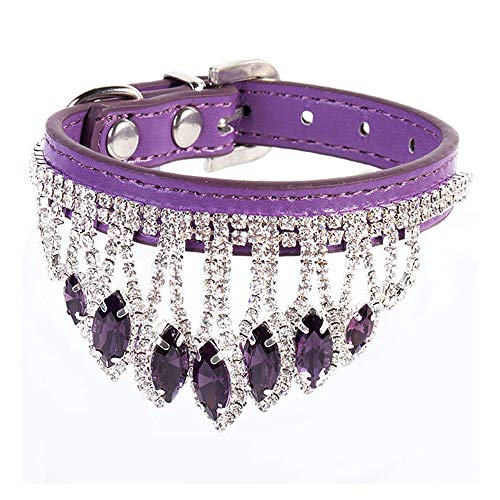 RayMinsino Pet Fashion Collar Verstellbarer Schmuck Welpe Katze Strass Diamant Schmuck Halskette von RayMinsino