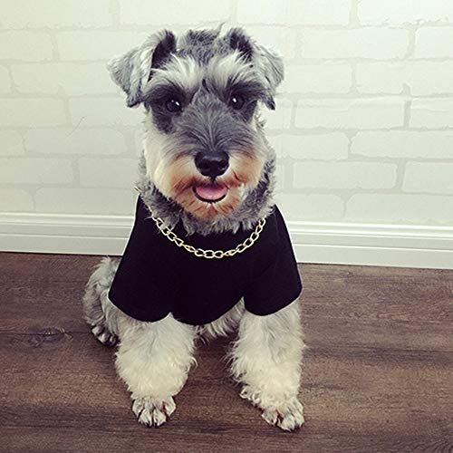 RayMinsino Trendige Marke Rivet Haustier Kleidung T-Shirt schwarz mit Halskette Zubehör Corgi Schnauzer Teddy Hund Katze Kostüm von RayMinsino