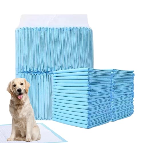 Raypontia Hunde-PIPI-Pads, Töpfchen-Pads für Hunde - wasserdichte Haustier-PIPI-Pads | Super saugfähige Haustierwindel, verdickte Windeleinlagen für Katzen und Hunde, schnell trocknende von Raypontia