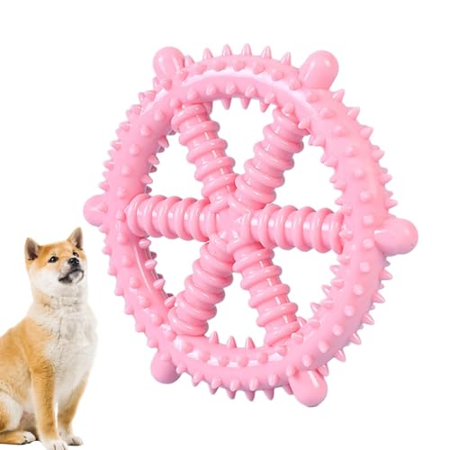 Raypontia Kauspielzeug für Hunde, Beißspielzeug für Hunde - Kauspielzeug für Hundezahnbürsten - Beißring für Welpen, unzerstörbares, quietschendes Spielzeug, Beißringe in Lebensmittelqualität für von Raypontia