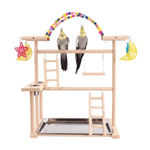 Rdxanc Papageien Vogel Gym Spielständer Set Holz Sittiche Spielplätze Wellensittiche Spielzeug Vogelständer für kleine Vögel und Nymphensittiche von Rdxanc