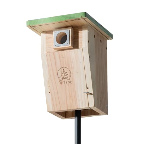 Vogelhäuser aus Holz mit Raubfischschutz, Zedernholz-Häuser für draußen, Nistkasten, Vogelhaus für einfache Reinigung, Wildvogelbeobachtung, Finkenschwalbe, Zaunkönig, Küken von ReTang