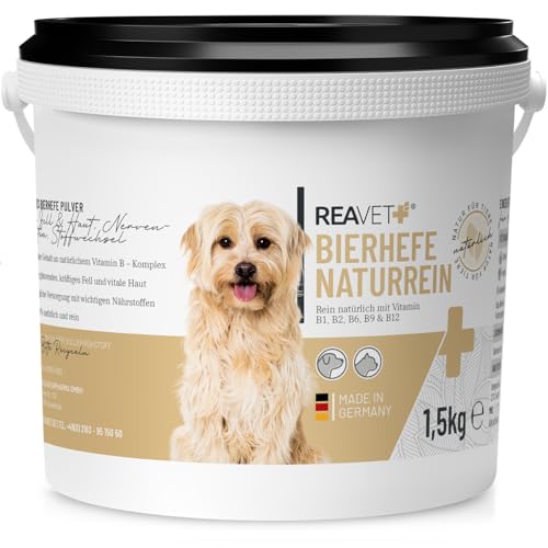 ReaVET Bierhefe Pulver für Hunde & Katzen 1,5kg - Reine Bierhefe gemahlen gegen Haarausfall, Natürliche B Vitamine und Biotin für Hund und Katze, Ohne Zusätze von ReaVET