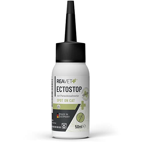 ReaVET EctoStop Spot On für Katzen 50ml – Flohmittel & Zeckenmittel für Katzen mit Kokosöl – Effektiv gegen Ektoparasiten – Zecken, Flöhe, Milben von ReaVET