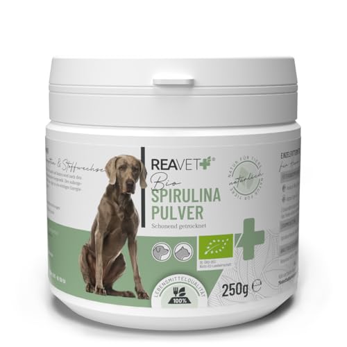 ReaVET Spirulina Pulver Bio für Hunde & Katzen 250g - Mikroalge unterstützt Haut & Fell, Immunsystem & Stoffwechselprozesse, Biologischer Anbau, Vitamine & Mineralstoffe von ReaVET