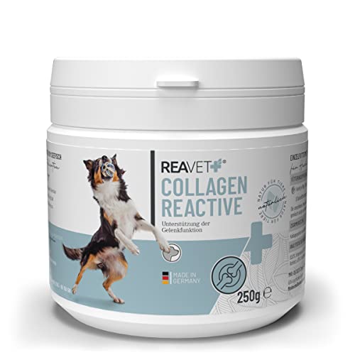 ReaVET Collagen Reactive Gelenkpulver für Hunde 250g - in Premiumqualität, Kollagen Hund, Gelatine, Kollagen Pulver Hund, Fisch-Collagen für die Gelenke von ReaVET