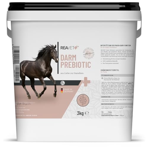 ReaVET Darm Prebiotic 3kg für Pferde zur Unterstützung der Darmflora & Verdauung - Magen Darm Pferd, Natürliche Darmkur, Getreidefreies Naturprodukt ohne Zusätze ReaVET Darm Prebiotic 3kg für Pferde zur Unterstützung der Darmflora & Verdauung - Magen Darm Pferd, Natürliche Darmkur, Getreidefreies Naturprodukt ohne Zusätze von ReaVET