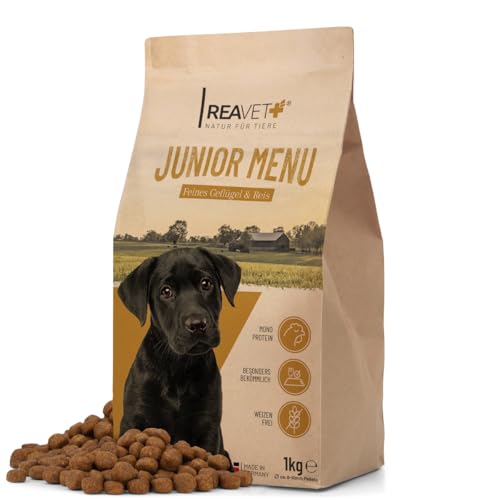 ReaVET Hundefutter Trocken - Junior Menü mit Geflügel 1kg, Weizenfrei, Hundetrockenfutter Junior bis zum 18 Monat, Gesundes Trockenfutter Hund, Hoher Fleischanteil, Für alle Hunderassen von ReaVET