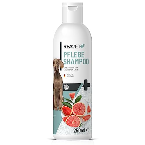 ReaVET Hundeshampoo mit Grapefruit 250ml - Pflegeshampoo für Hunde, Rückfettendes Shampoo für alle Hunderassen, für glänzendes Fell & bessere Kämmbarkeit, angepasster pH-Wert, vegan & tierleidfrei von ReaVET