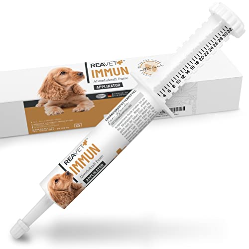 ReaVET Immun Abwehrkraft Paste Hunde 30ml – Immunbooster Hund Immunsystem stärken, Welpen & Hund Abwehrkräfte, Vitalität & Immunkraft, für Verdauung von ReaVET