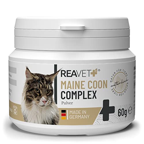 ReaVET Maine Coon Complex, Rasse Spezial-Ergänzungsfutter für große Katzen – Main Coon Futter, Maine Coon Futter, artgerechte Rundumversorgung von ReaVET