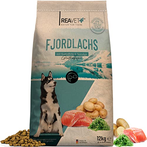 ReaVET Natur Hundefutter Trocken Fjordlachs 12kg I 100% Natürlich Trockenfutter Hund, Getreidefrei für Allergiker, Hunde Trockenfutter, Natur ohne Chemie und künstliche Vitamine von ReaVET