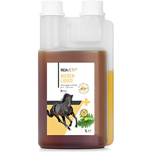 ReaVET Nieren Liquid für Pferde 1L - 100% naturbelassenen Kräutermischung, zur Unterstützung der Nierenfunktion, bei Stoffwechselproblemen, bei überlasteter Leber & Niere von ReaVET