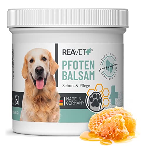 ReaVET Pfotenbalsam Hund 120ml für weiche Hundepfoten - Natürliche Hunde Pflege mit Sheabutter, Kokosöl & Bienenwachs, Pfotenpflege Katze, Pfotenschutz Creme, Zubehör Winter & Sommer von ReaVET