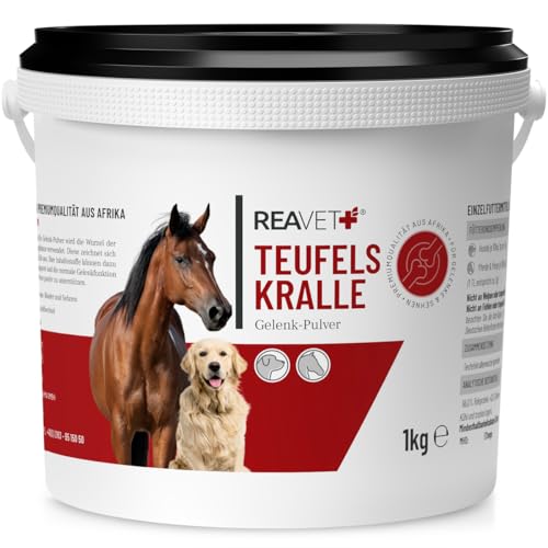 ReaVET Teufelskralle für Pferde 1kg - Teufelskrallenpulver, Teufelskrallenwurzel, Gelenkpulver, zur Unterstützung agiler Gelenke und der Beweglichkeit von ReaVET