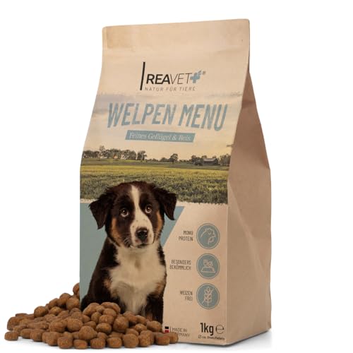 ReaVET Welpenfutter - Welpen Menü mit Geflügel 1kg, Hundefutter Trocken Welpen im Alter bis 6 Monaten, Gesundes Trockenfutter Welpen, Hundetrockenfutter, Hoher Fleischanteil, Für alle Hunderassen von ReaVET