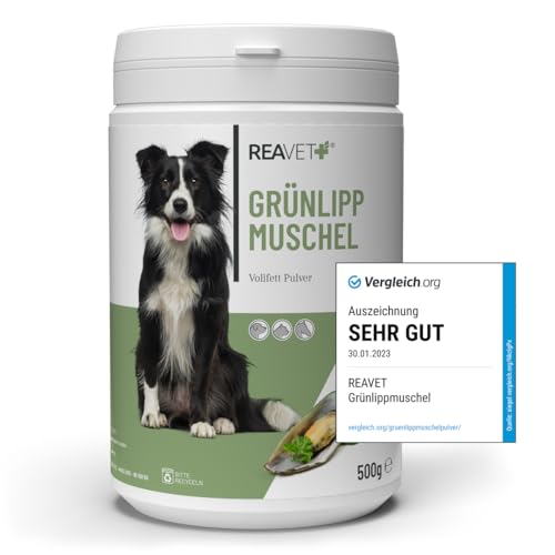 TESTURTEIL SEHR GUT 01/23 ReaVET Grünlippmuschel Hund Pulver 500g, Grünlippmuschelpulver Hund, Grünlipp für Hunde hochdosiert, Ernährung bei Arthrose, HD, Arthritis von ReaVET