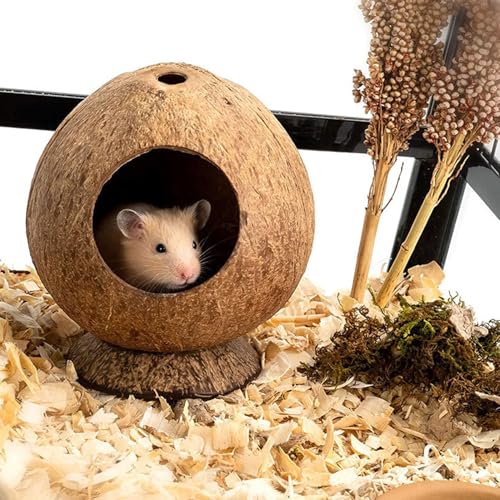 Naturholz Kokosnuss Hütte Versteck Haus für Hamster, Rennmäuse, Mäuse, Kleintiere von Rebecca online