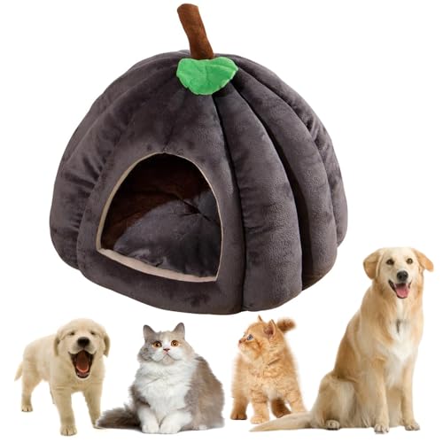 2024 Neues Kürbis-Katzenbett, Flauschiges Katzenbett mit Abnehmbarem Kissen, Katzenhöhle für Indoor-Katzen, Waschbar, Warme Schlafhöhle für Katzen und Kleine Hunde, Halloween-Design (Grau, M) von Recitem