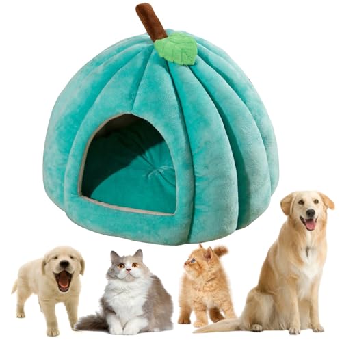 2024 Neues Kürbis-Katzenbett, Flauschiges Katzenbett mit Abnehmbarem Kissen, Katzenhöhle für Indoor-Katzen, Waschbar, Warme Schlafhöhle für Katzen und Kleine Hunde, Halloween-Design (Grün, L) von Recitem