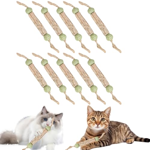 Katzenminze Sticks, Zahnpflege Katzen, Katzenspielzeug, Katzenminze Spielzeug Katzen Kauhölzer Sticks für Katzen Zahnpflege & Gegen Mundgeruch Natürlich Sicher Katzensticks Kausticks Set (10 Stück) von Recitem